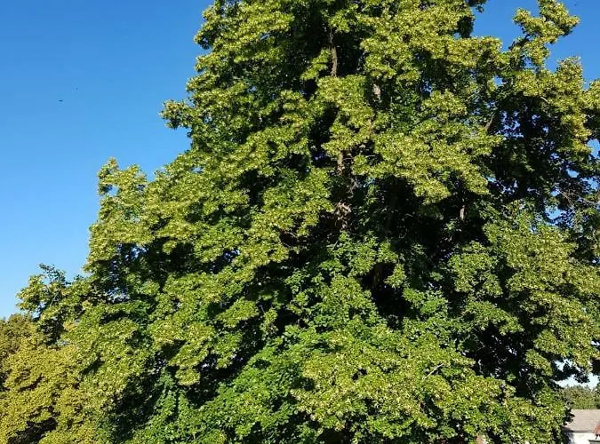 Na Vrsku Appartamento *