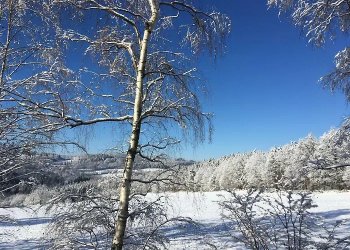Na Vrsku * Klenovice (Prachatice)