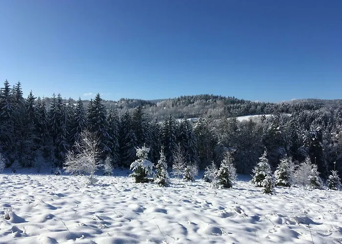 Na Vrsku 아파트