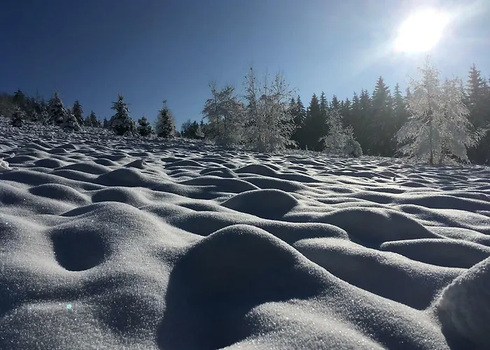 Na Vrsku